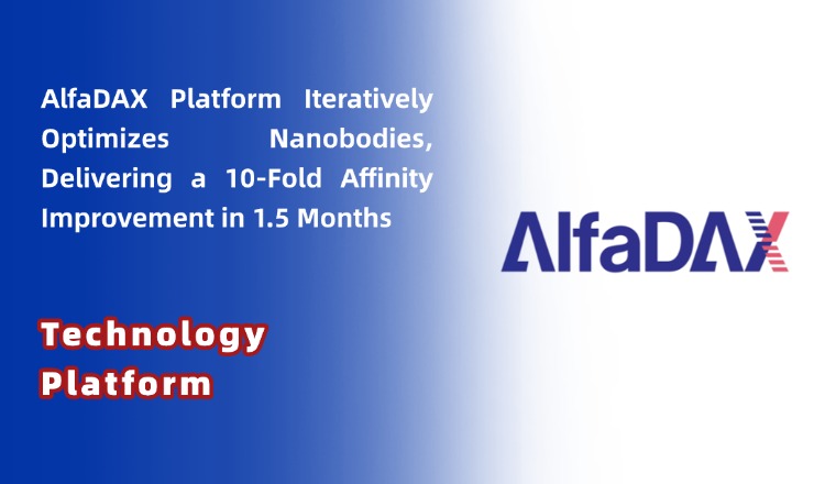 Tech Platform | AlfaDAX Platform Iteratively Optimizes Nanobodies, Delivering a 10-Fold Affinity Improvement in 1.5 Months