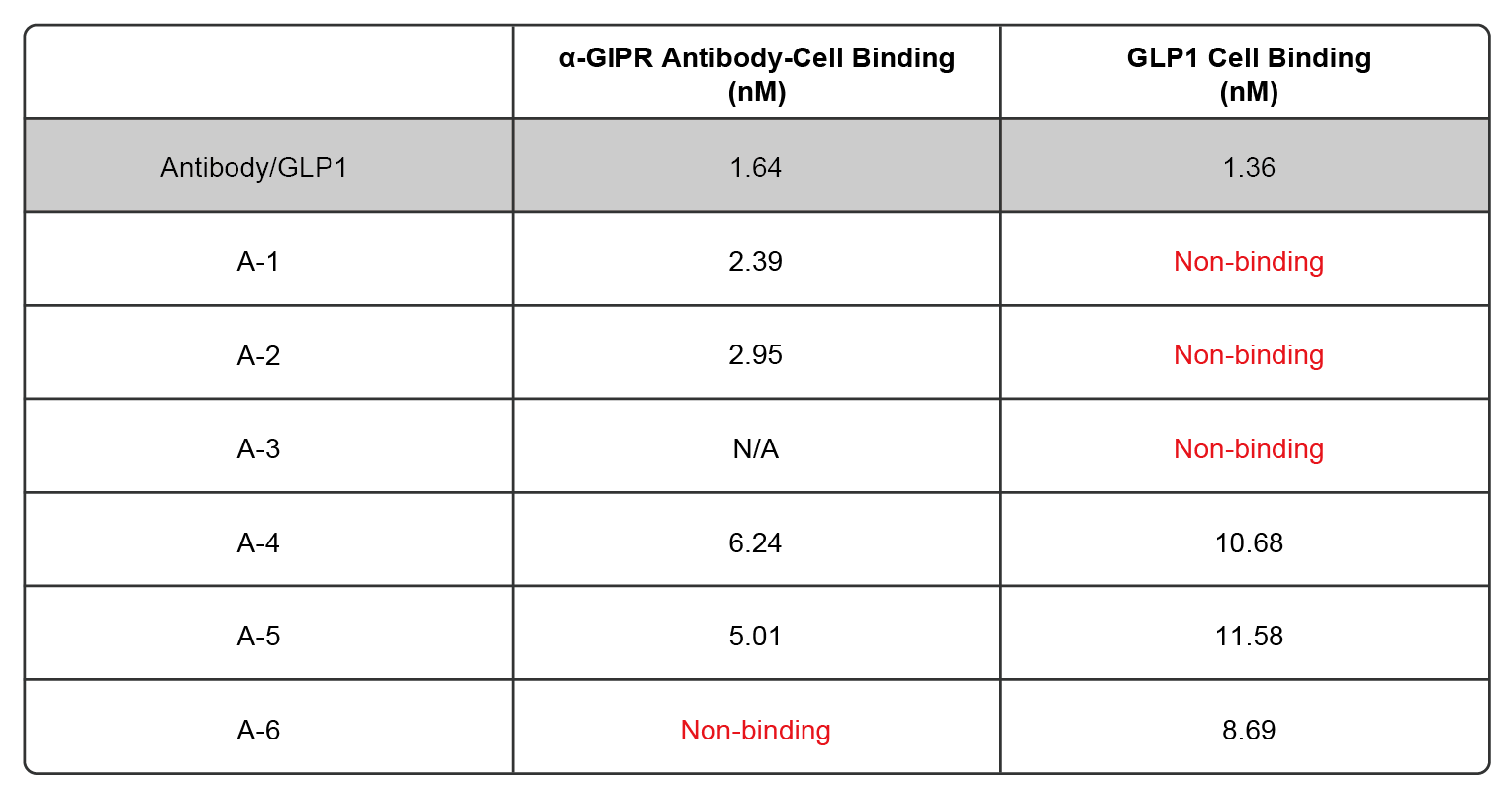 Relationship Between Conformation <br> and Activity