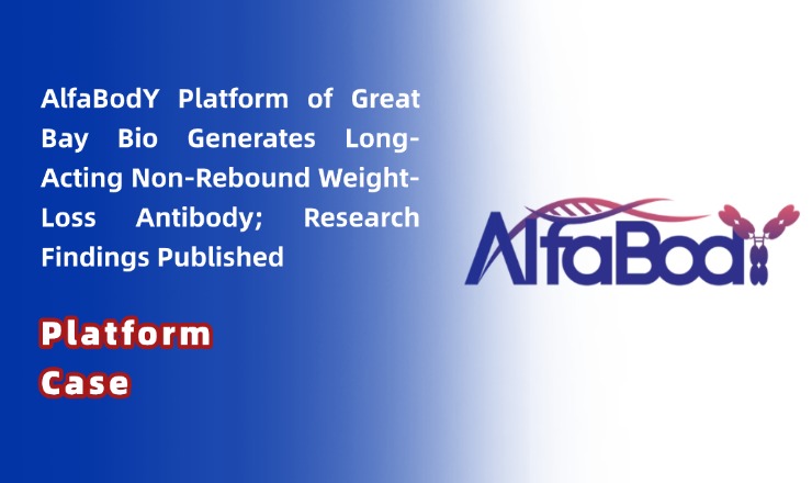 Platform Case | AI Tackles Challenging GPCR Drug Target in 8 Months! AlfaBodY Platform of Great Bay Bio Generates Long-Acting Non-Rebound Weight-Loss Antibody; Research Findings Published