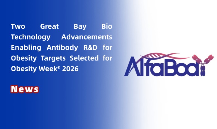 Accepted for Both Oral Presentation and Poster! Two Great Bay Bio Technology Advancements Enabling Antibody R&D for Obesity Targets Selected for Obesity Week® 2026